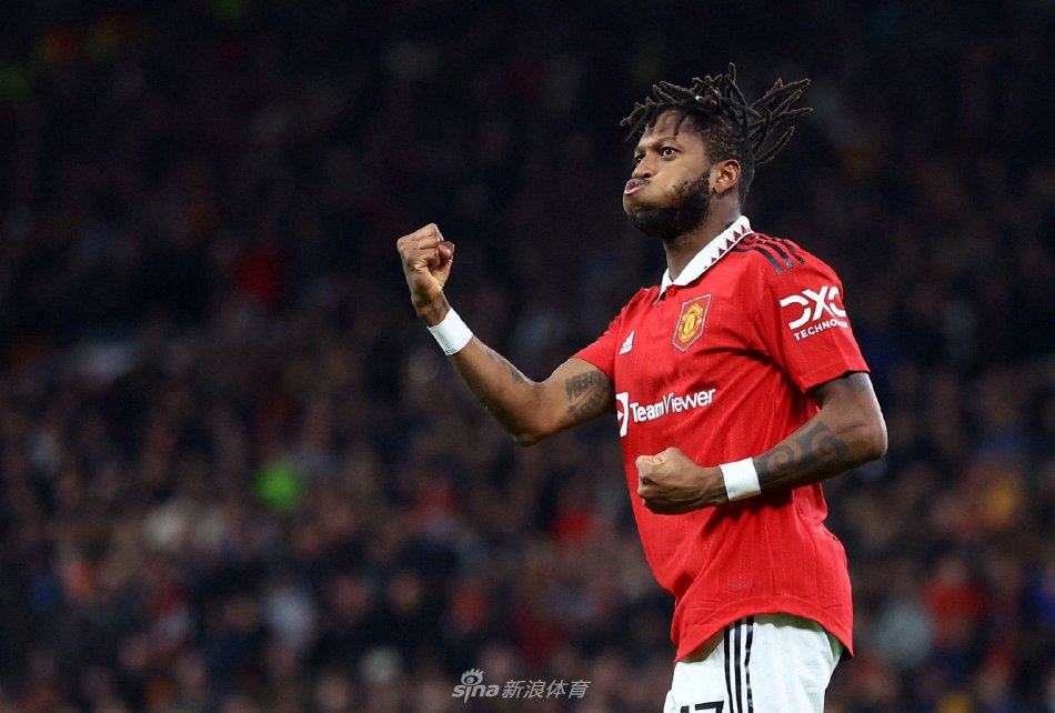 板球表现 板球表现